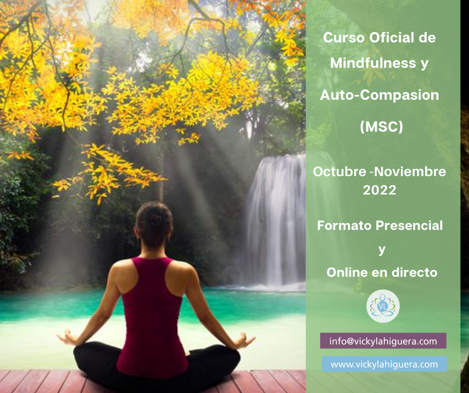 Curso-mindfulness-otoño-2022